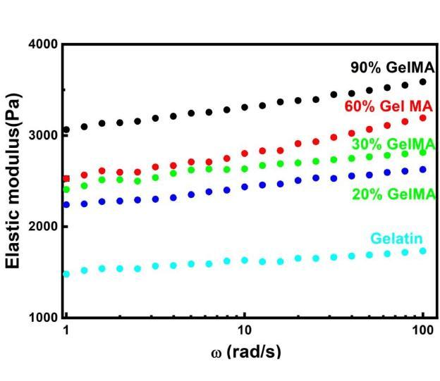 GelMA弹性模量