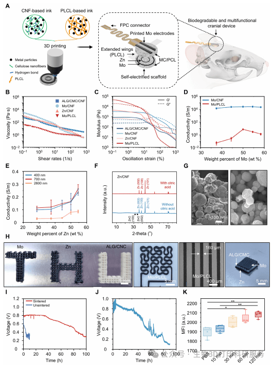 Figure 1：3D打印可降解颅骨装置的整体设计与材料表征