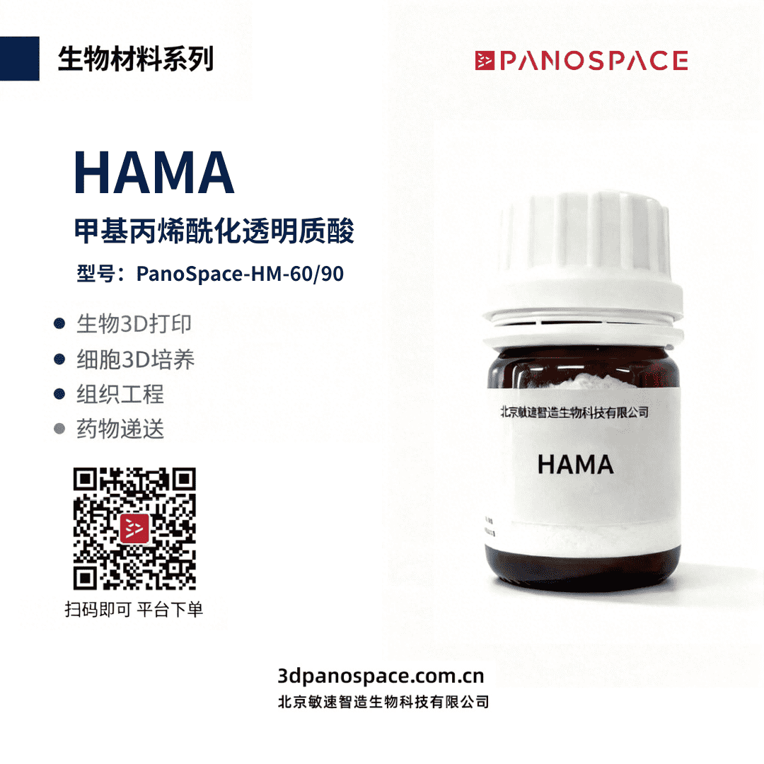 HAMA购买渠道